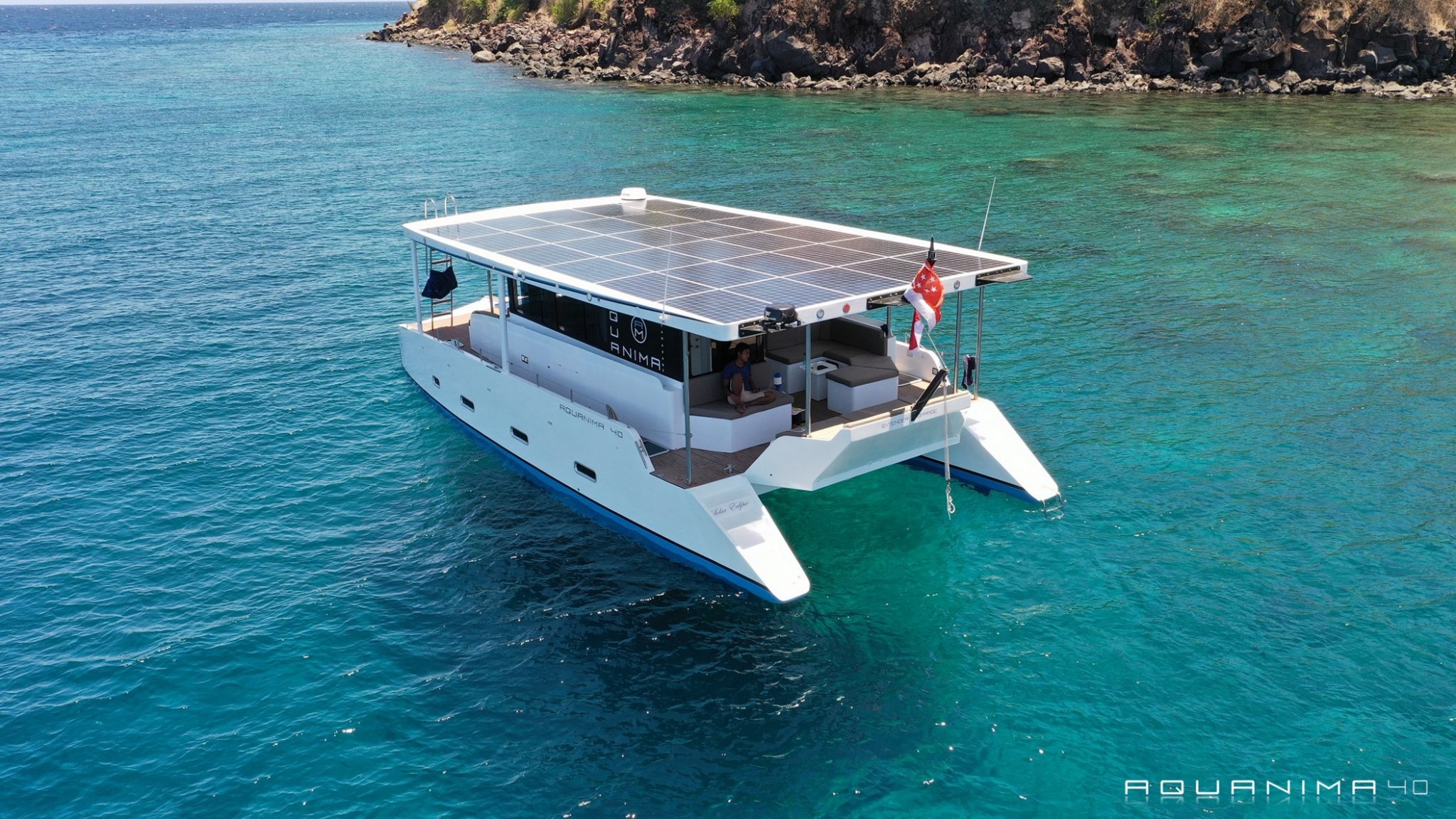 electric catamaran cost